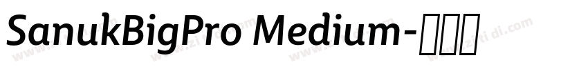SanukBigPro Medium字体转换 SanukBigPro Medium字体转换